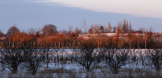 Januarmorgen på Møn