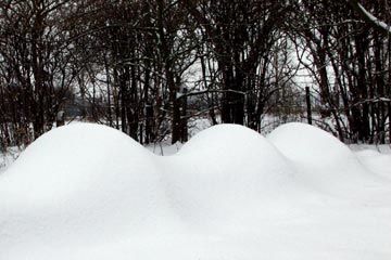 Væksttunnel dækket af sne